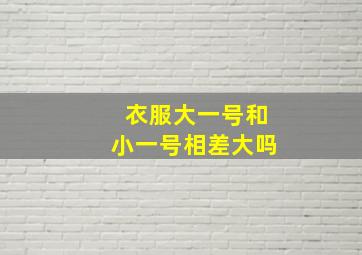 衣服大一号和小一号相差大吗