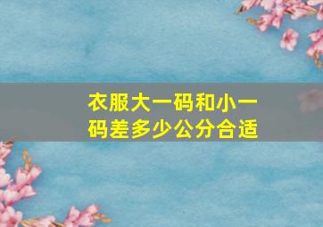 衣服大一码和小一码差多少公分合适