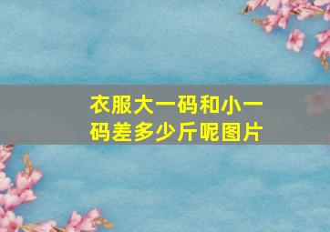 衣服大一码和小一码差多少斤呢图片