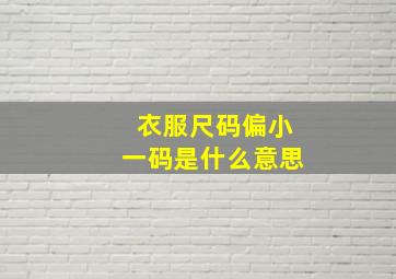 衣服尺码偏小一码是什么意思