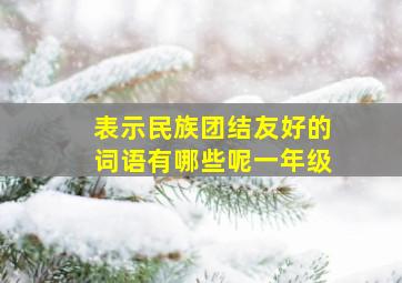 表示民族团结友好的词语有哪些呢一年级