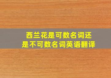 西兰花是可数名词还是不可数名词英语翻译