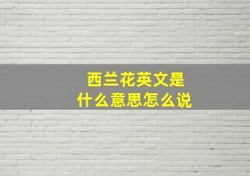 西兰花英文是什么意思怎么说