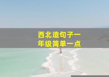 西北造句子一年级简单一点