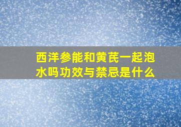 西洋参能和黄芪一起泡水吗功效与禁忌是什么