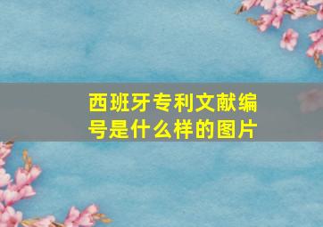 西班牙专利文献编号是什么样的图片