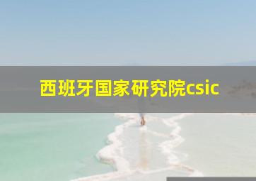 西班牙国家研究院csic