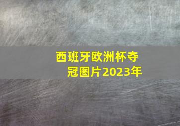 西班牙欧洲杯夺冠图片2023年