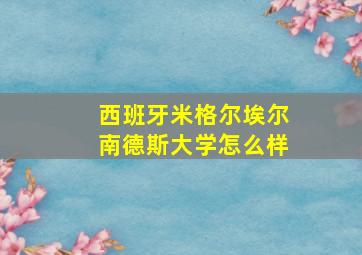 西班牙米格尔埃尔南德斯大学怎么样