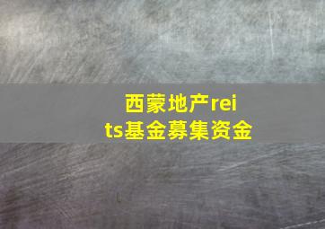 西蒙地产reits基金募集资金