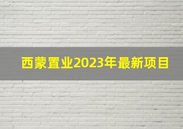 西蒙置业2023年最新项目