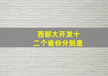 西部大开发十二个省份分别是