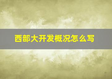 西部大开发概况怎么写