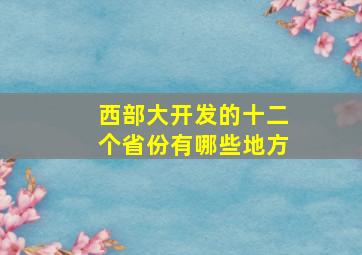 西部大开发的十二个省份有哪些地方