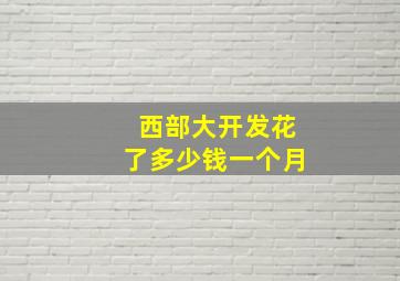 西部大开发花了多少钱一个月