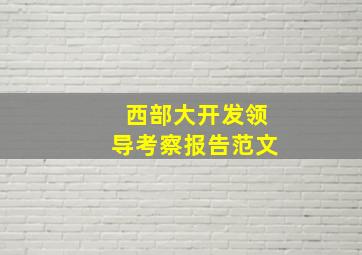 西部大开发领导考察报告范文