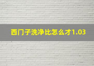 西门子洗净比怎么才1.03