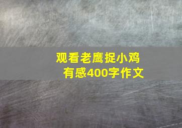 观看老鹰捉小鸡有感400字作文