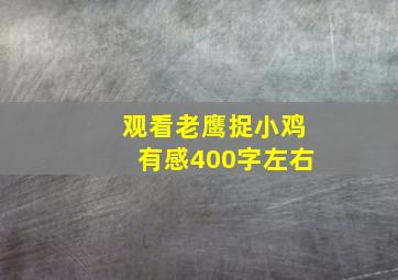 观看老鹰捉小鸡有感400字左右