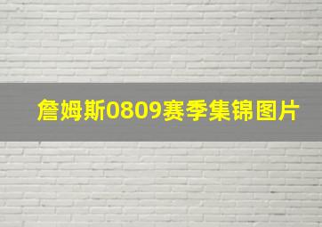 詹姆斯0809赛季集锦图片