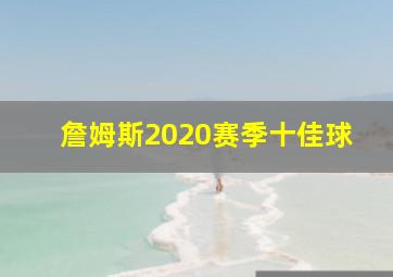 詹姆斯2020赛季十佳球