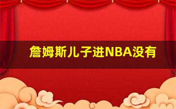 詹姆斯儿子进NBA没有