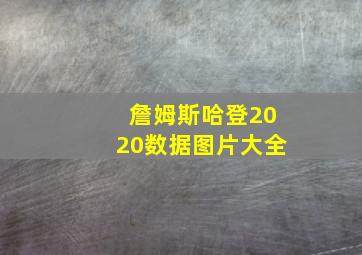 詹姆斯哈登2020数据图片大全