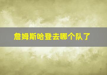 詹姆斯哈登去哪个队了