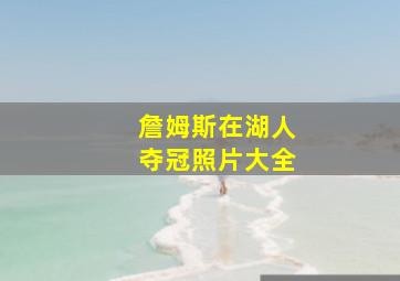 詹姆斯在湖人夺冠照片大全