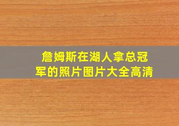 詹姆斯在湖人拿总冠军的照片图片大全高清