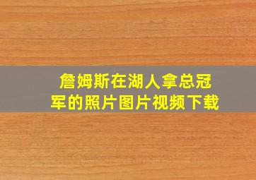 詹姆斯在湖人拿总冠军的照片图片视频下载