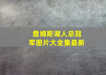 詹姆斯湖人总冠军图片大全集最新