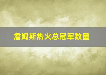 詹姆斯热火总冠军数量