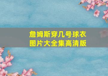 詹姆斯穿几号球衣图片大全集高清版