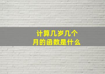 计算几岁几个月的函数是什么