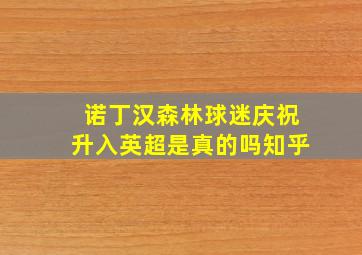 诺丁汉森林球迷庆祝升入英超是真的吗知乎