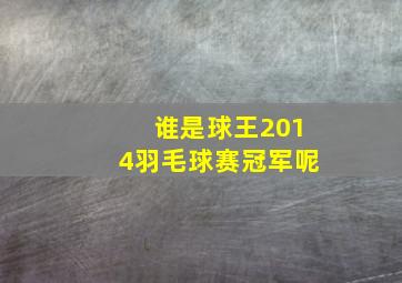 谁是球王2014羽毛球赛冠军呢