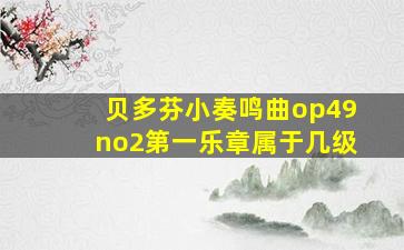 贝多芬小奏鸣曲op49no2第一乐章属于几级