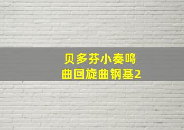 贝多芬小奏鸣曲回旋曲钢基2