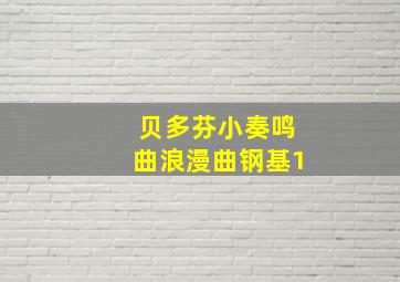 贝多芬小奏鸣曲浪漫曲钢基1