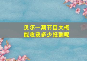 贝尔一期节目大概能收获多少报酬呢