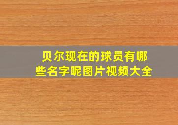 贝尔现在的球员有哪些名字呢图片视频大全