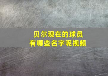 贝尔现在的球员有哪些名字呢视频