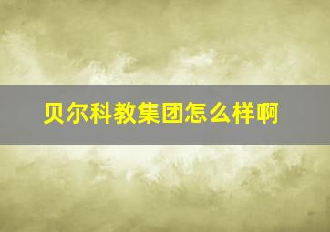 贝尔科教集团怎么样啊