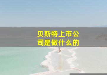 贝斯特上市公司是做什么的