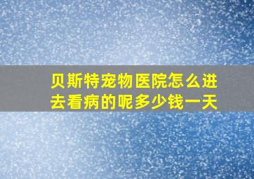 贝斯特宠物医院怎么进去看病的呢多少钱一天