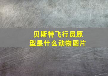 贝斯特飞行员原型是什么动物图片