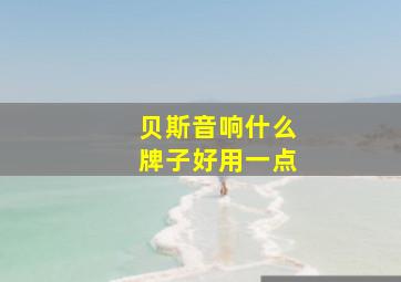 贝斯音响什么牌子好用一点