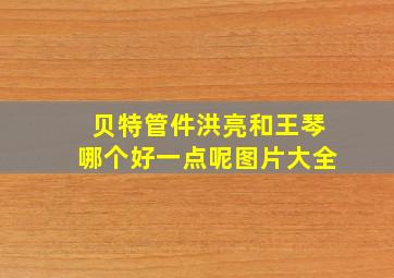 贝特管件洪亮和王琴哪个好一点呢图片大全