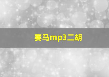 赛马mp3二胡